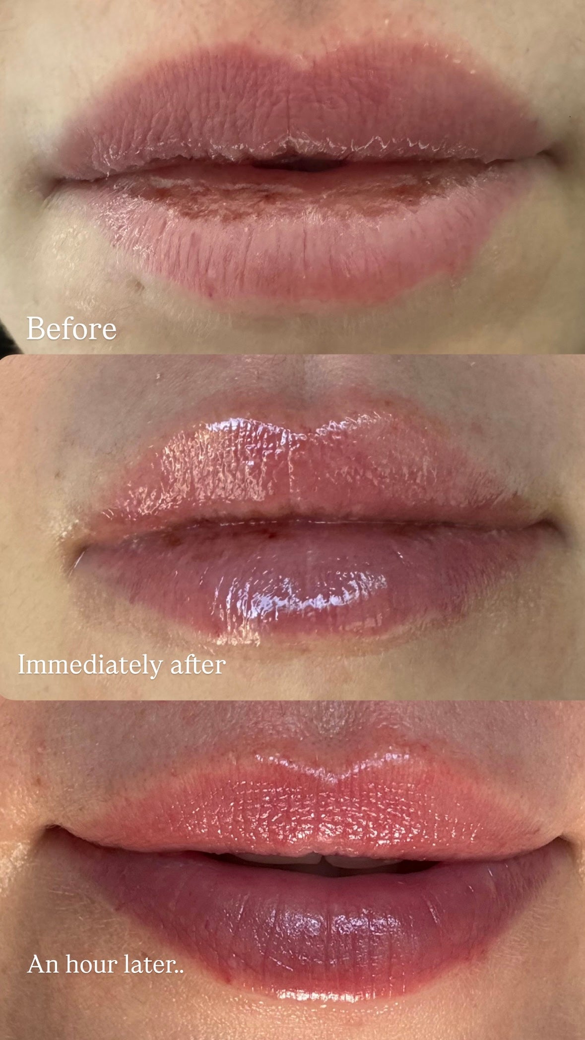 Vanilla Nectar Lip Treatment